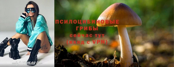Альфа ПВП Нязепетровск