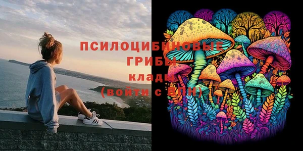скорость Новодвинск