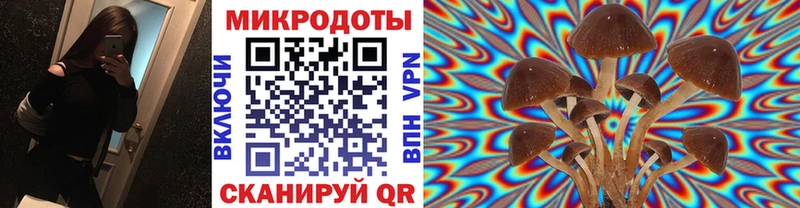 Галлюциногенные грибы Psilocybe  хочу   Карталы 