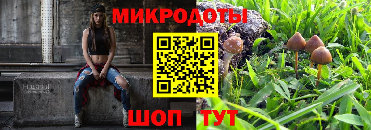 Карталы  Псилоцибиновые грибы GOLDEN TEACHER  Вход с VPN  Галлюциногенные грибы ЛСД 